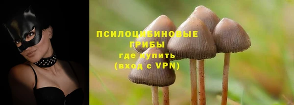 дурь Абаза