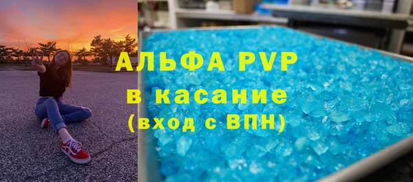 стаф Новозыбков