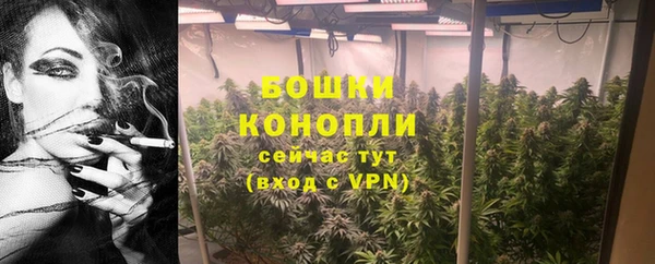 стаф Новозыбков